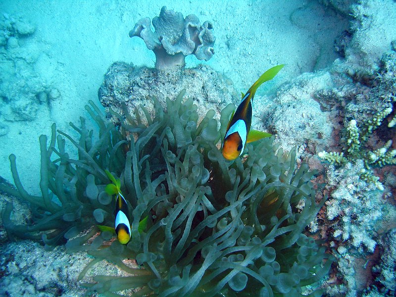 13-03-14 083 Mary.jpg